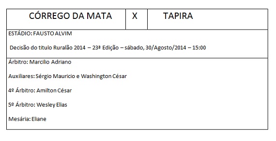 Arbitragem decisão do Ruralão 2014